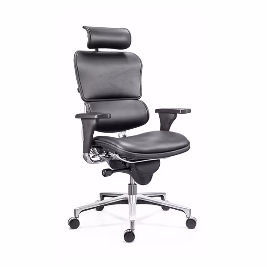 Silla de oficina ergonómica reclinable Zebai de malla para personal con reposabrazos (ZB