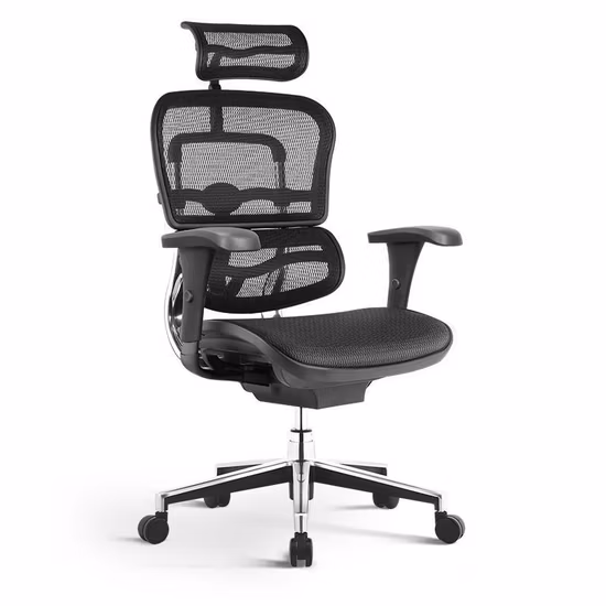 Zebai Reclining Ergonomic Staff Mesh Chair Office Chair with Armrest (ZB-3001D)